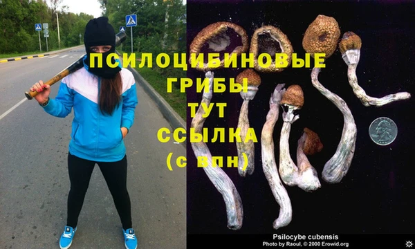ГАЛЛЮЦИНОГЕННЫЕ ГРИБЫ Алексин