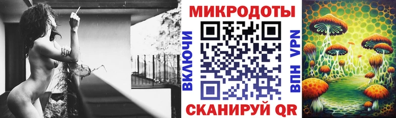 магазин    Ржев  Псилоцибиновые грибы мицелий 
